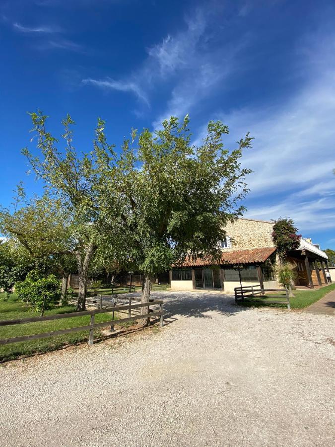 Studio 2 Personnes Vue Marais Salant Parking Et Terrasse Proche Commodite Hyères المظهر الخارجي الصورة